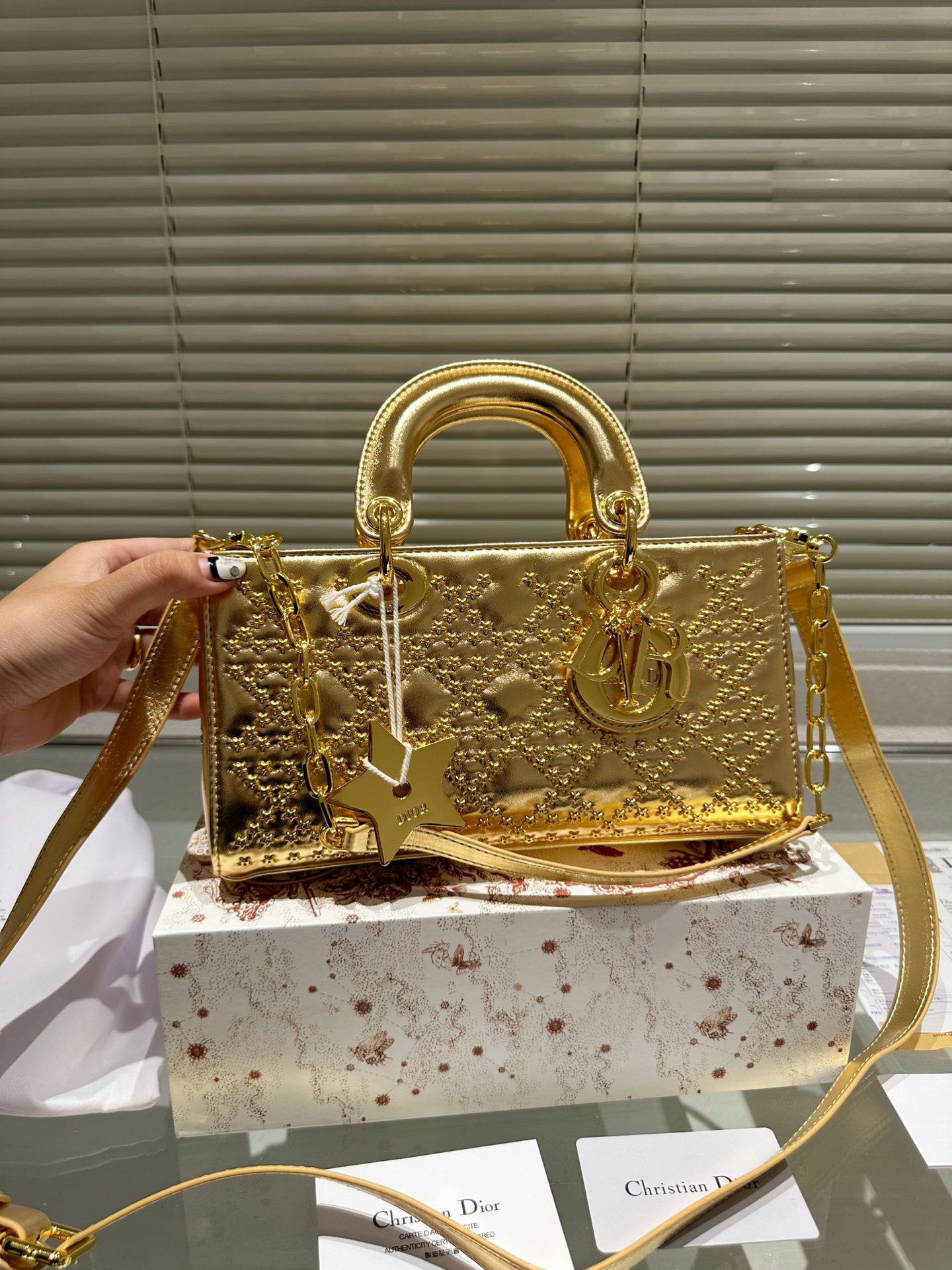 DIOR Lady D-Joy size 26*13.5 CM sliver / black / gold