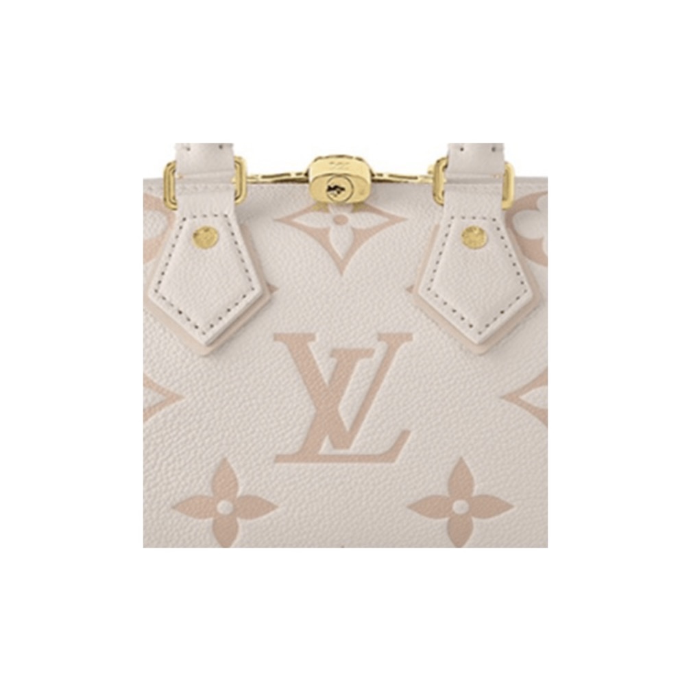 Louis Vuitton Speedy 20
