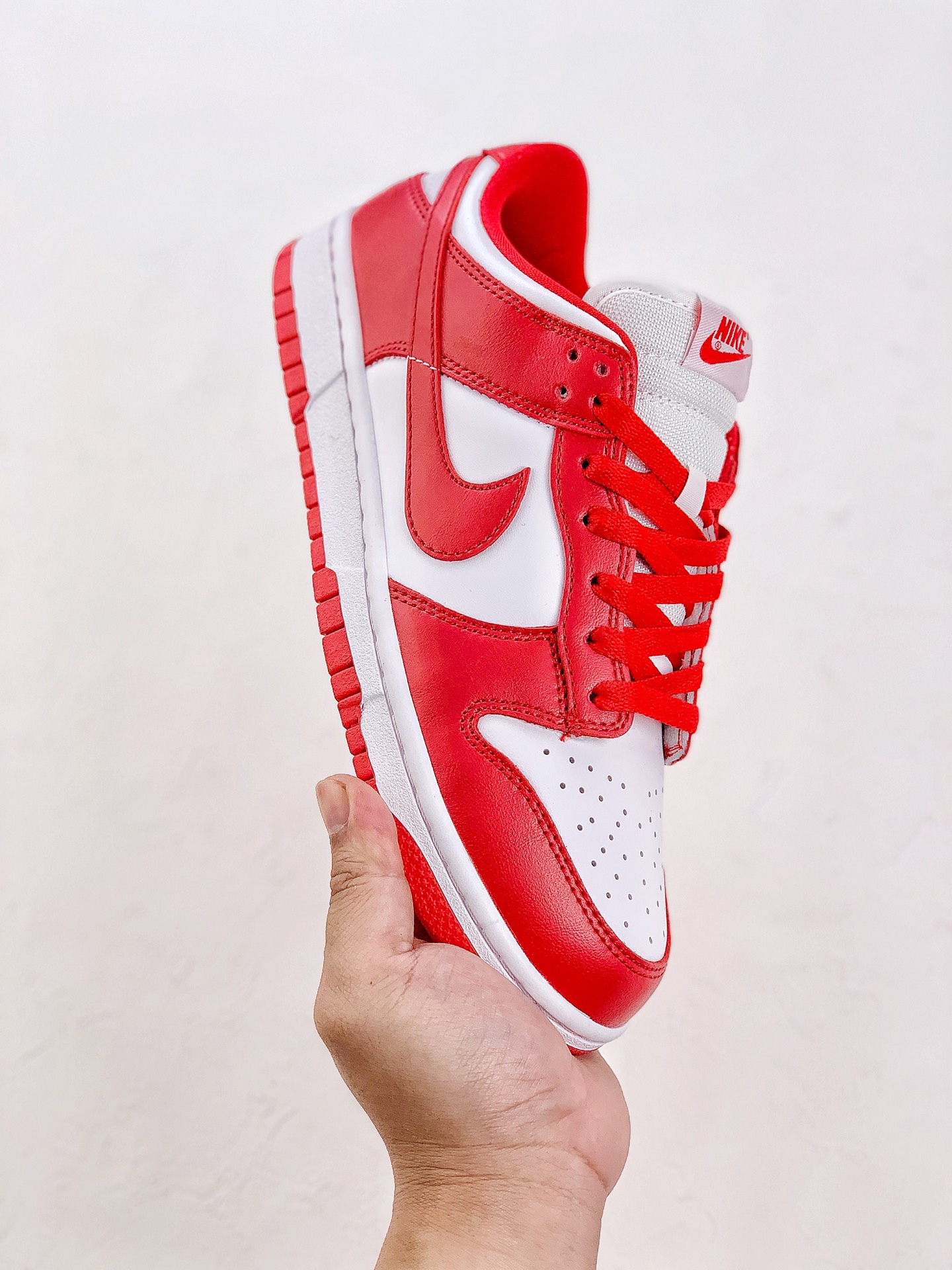 Nike Dunk Low SP 