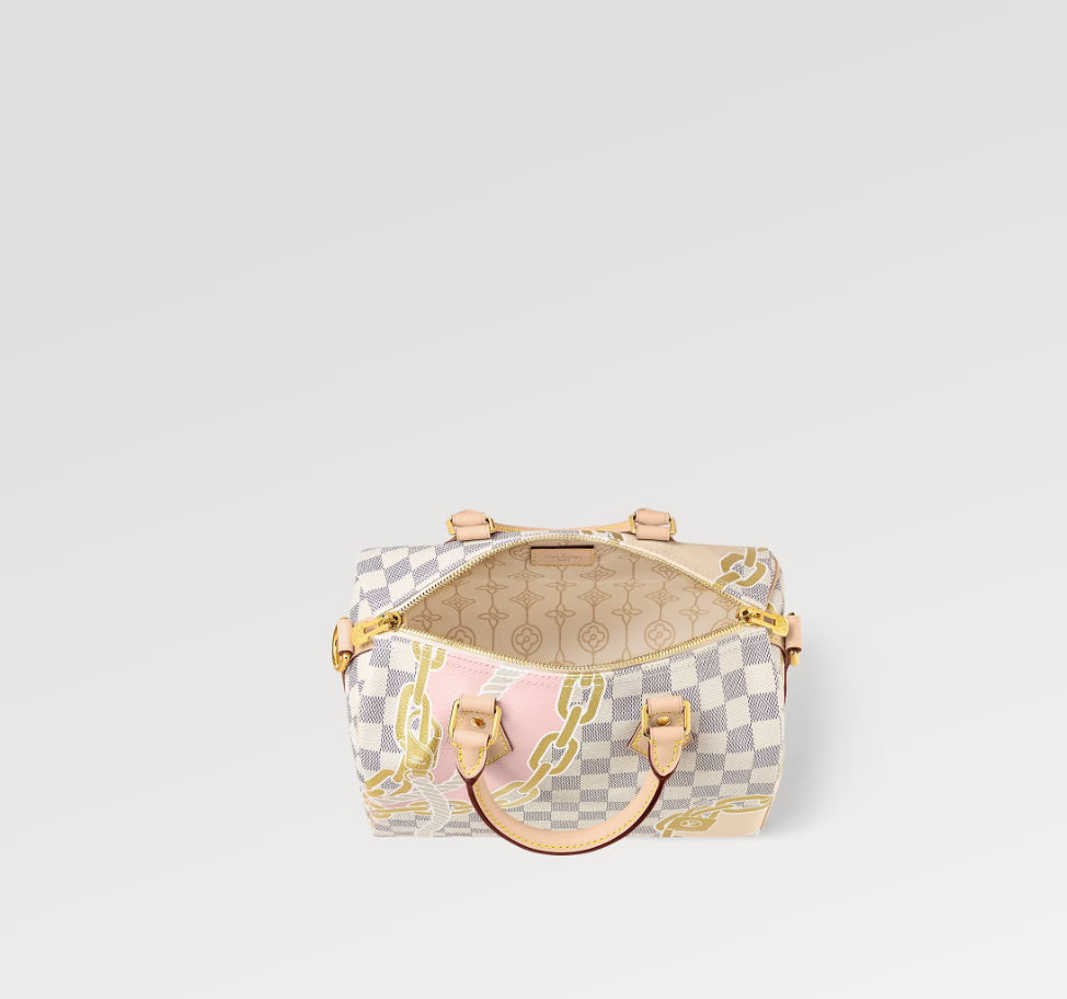 Louis Vuitton N40473 Speedy Bandoulière 25