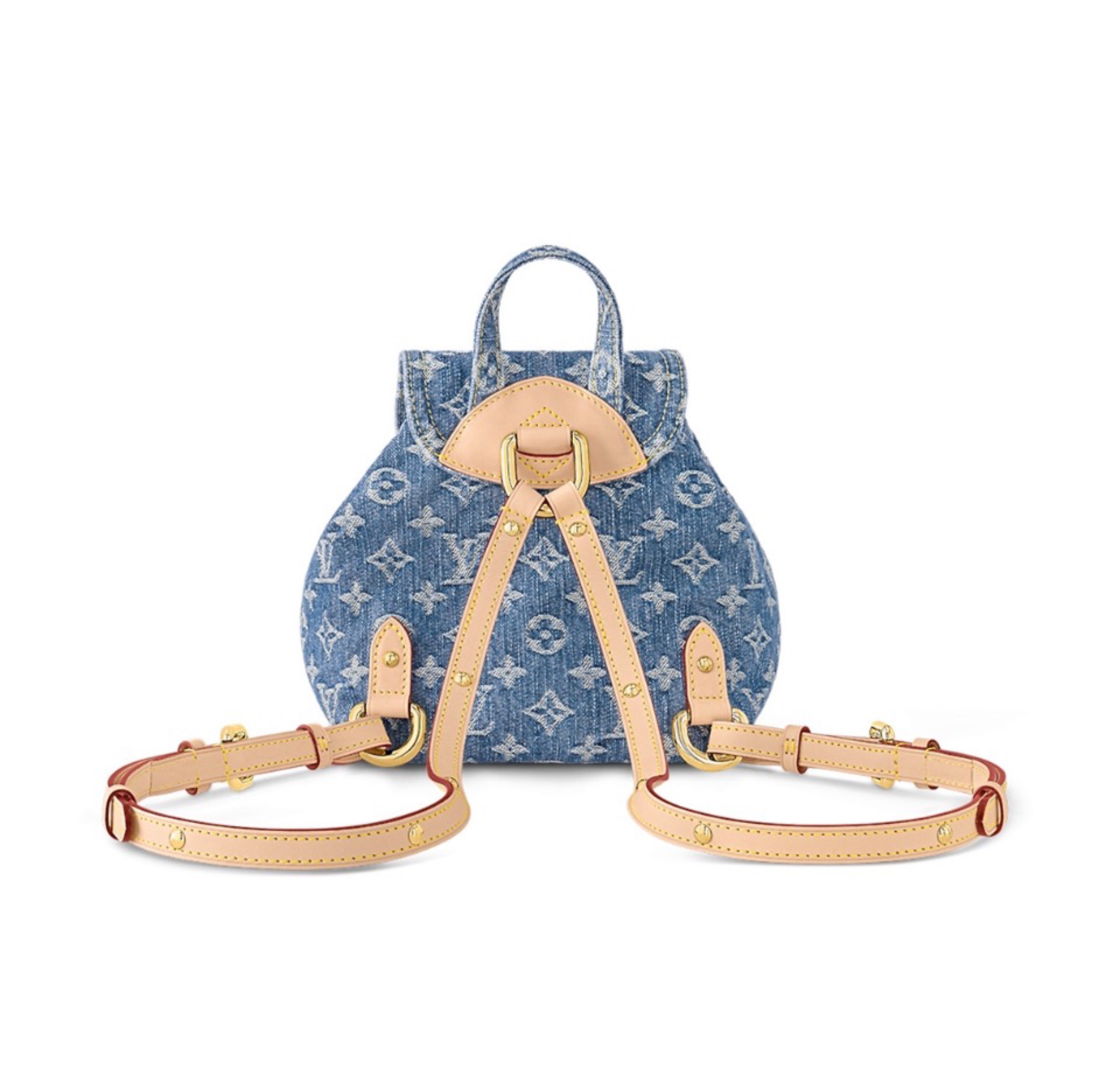 Louis Vuittion Venice NM backpack 2024 style !