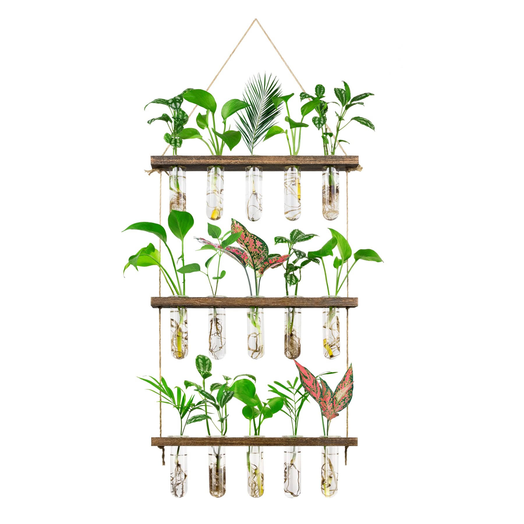 Monsiter QE 3 Tier Large Propagation Stations Wall Hanging Plant Terrarium with Wooden Stand, Retro Propagation Test Tube for Hydroponic Plants