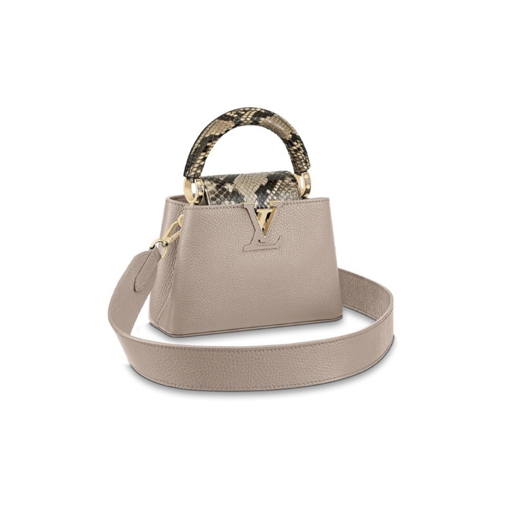 LOUIS VUITTIN Capucines leather with python skin trim