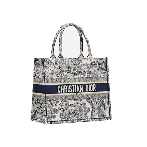 SMALL DIOR BOOK TOTE Blue Toile de Jouy Embroidery