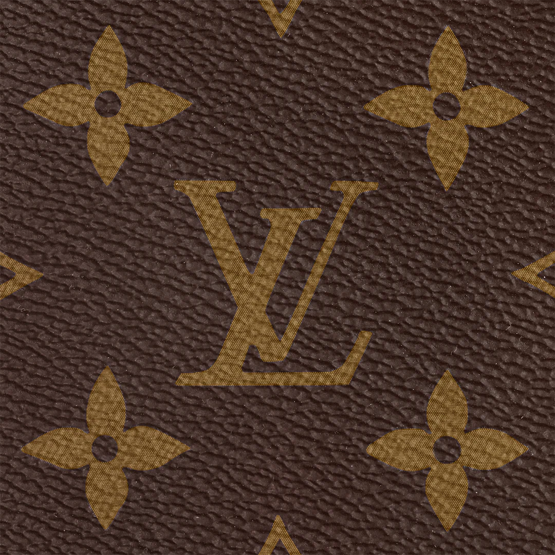 Louis Vuitton M46196 ELLIPSE small handbag
