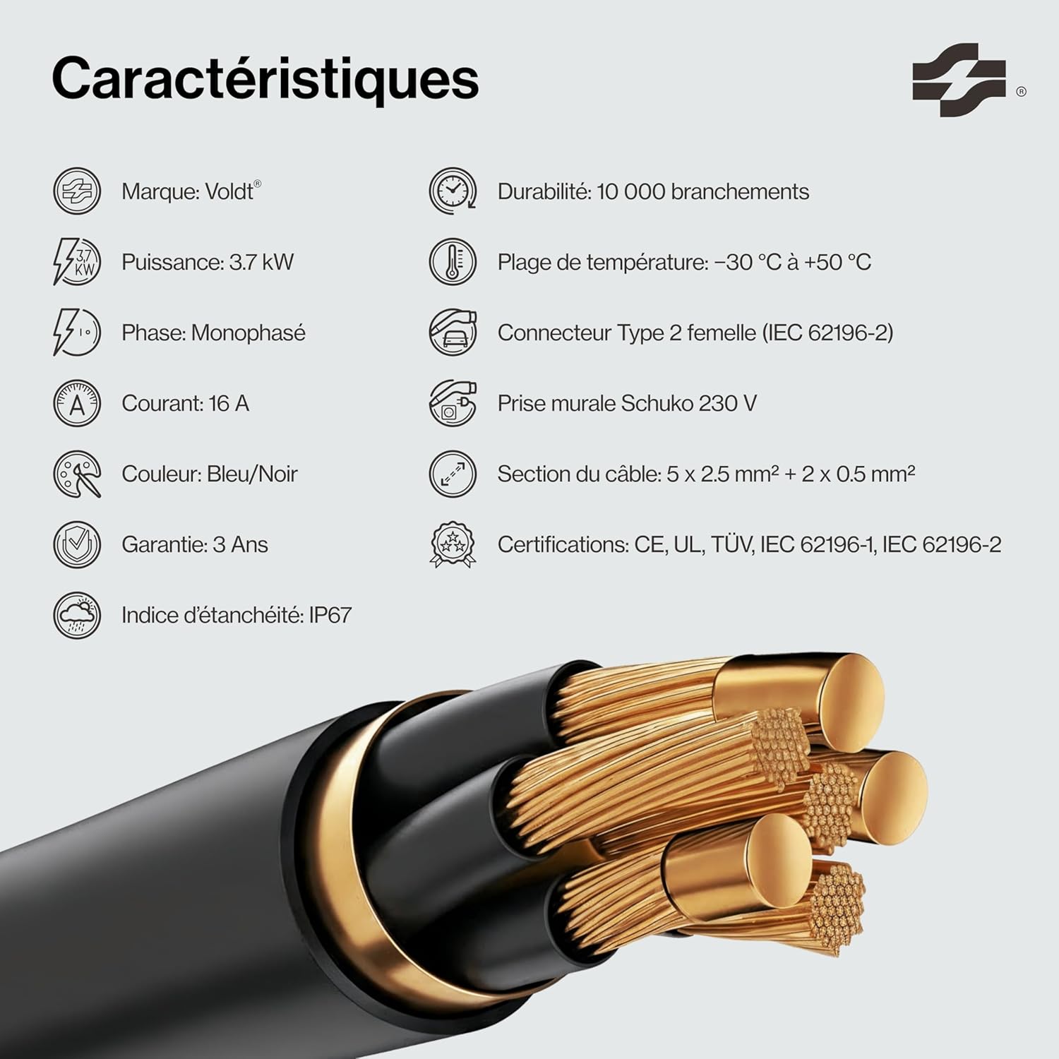 Câble charge EV type 2 Schuko 37 kW monophasé 8A 16A affichage numérique longueur 10 m