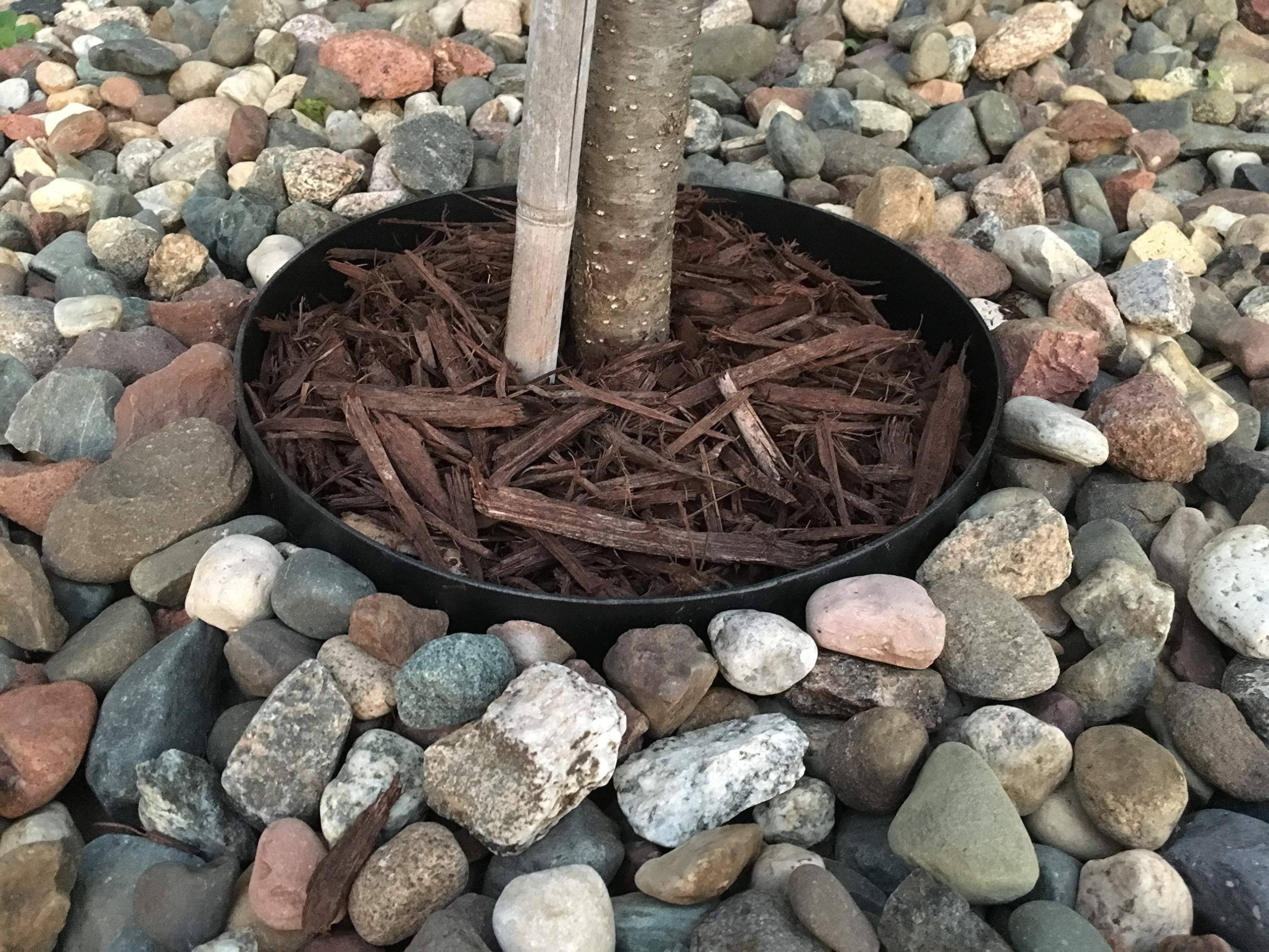 Plantbuddy | Landscape | Edging | Decorative Protective Ring for Plants | Keeps Rocks Out, and Mulch in | Black | 10