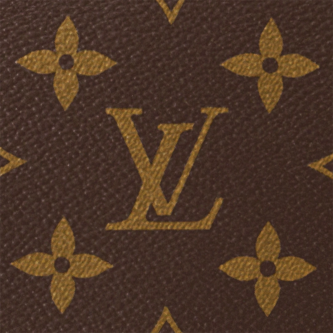 Louis Vuitton M46311 LOOP HOBO