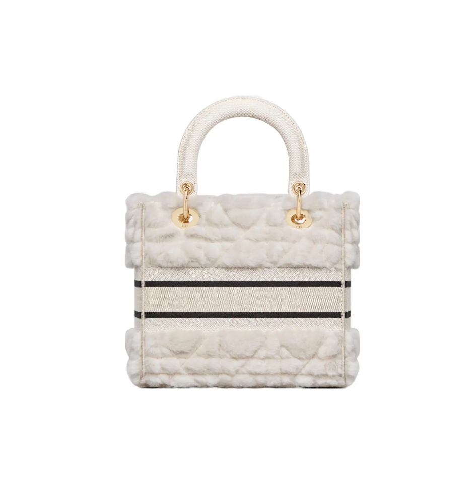 Dior Lady-Life Embroidered limited bag size : 24 cm