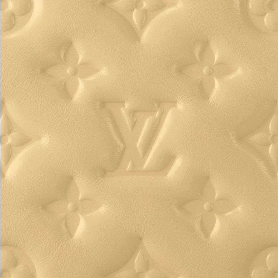 Louis Vuitton M22614 Coussin PM
