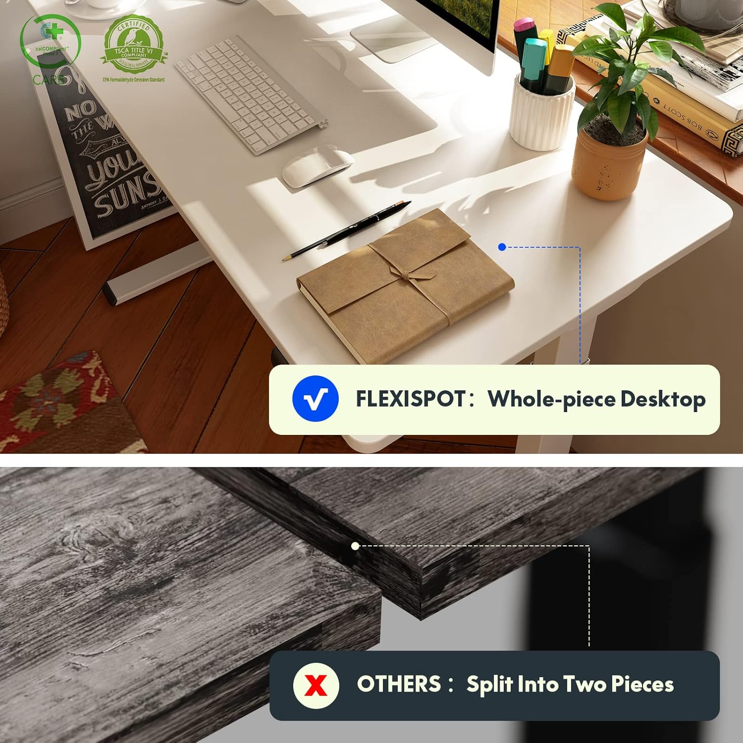 FLEXISPOT EN1 Whole-Piece Standing Desk