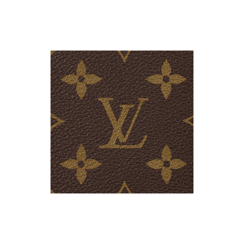 LOUIS VUITTION COUSSIN Toiletry Pouch On Chain