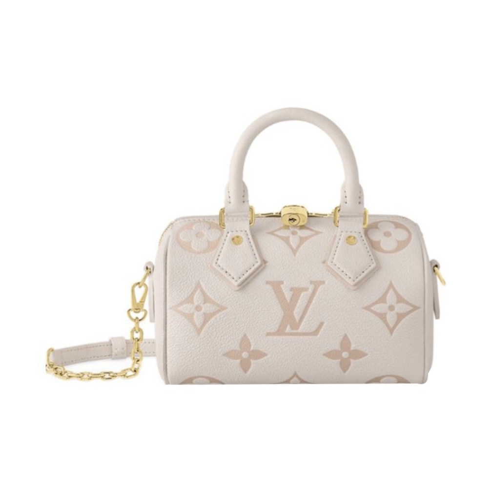 Louis Vuitton Speedy 20