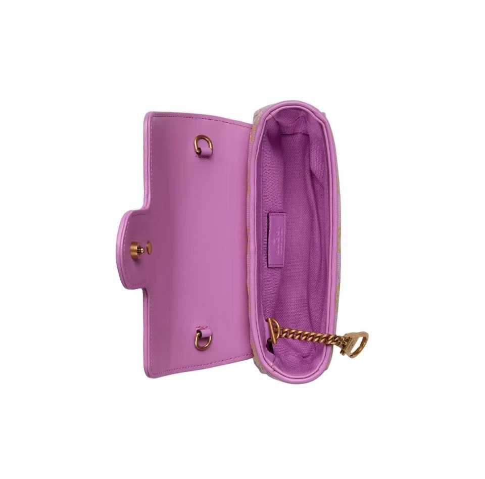 GUCCI double G Marmont bag 2024 new style