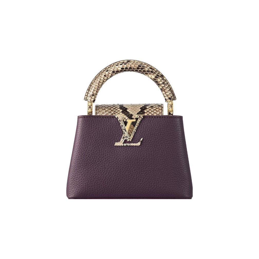 LOUIS VUITTIN Capucines leather with python skin trim