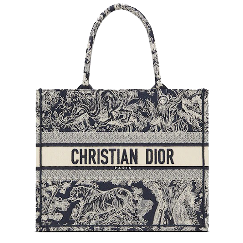 SMALL DIOR BOOK TOTE Blue Toile de Jouy Reverse Embroidery