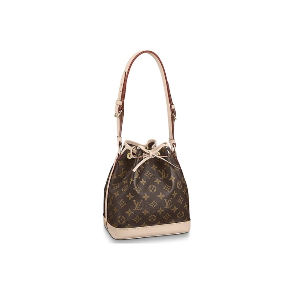 Louis Vuitton NOE BB Bundle rope bucket bag
